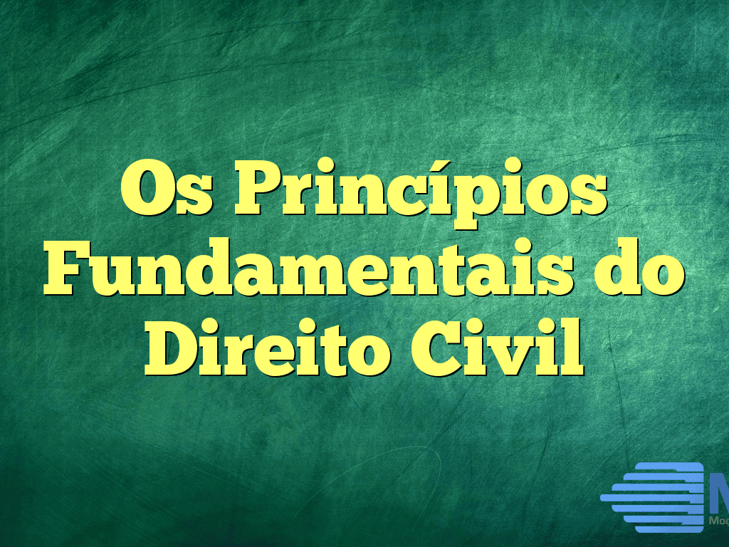 Os Princípios Fundamentais do Direito Civil
