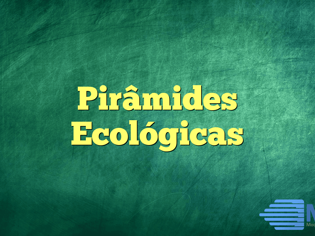 Pirâmides Ecológicas