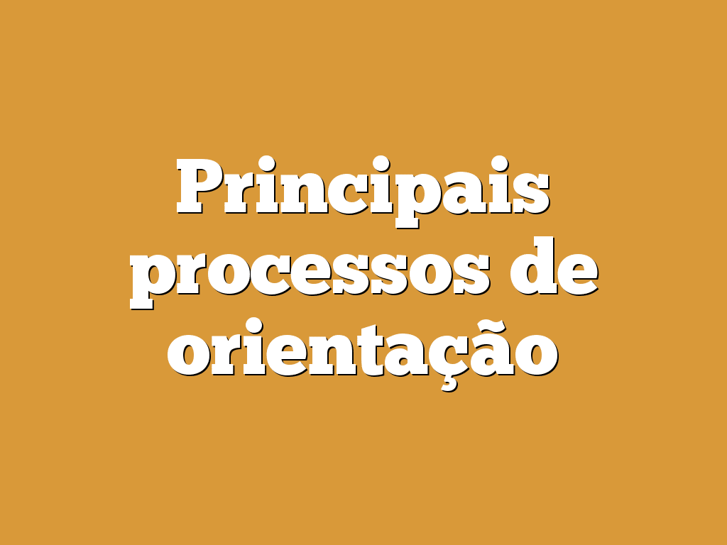Principais processos de orientação