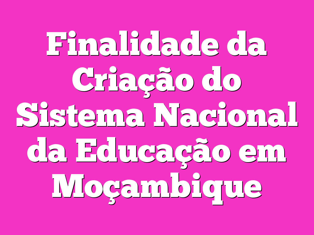 Finalidade da Criação do Sistema Nacional da Educação em Moçambique