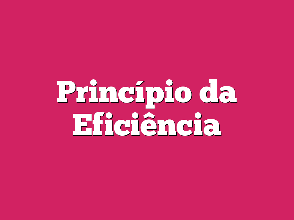 Princípio da Eficiência